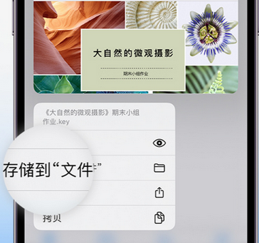 双城apple维修中心分享iPhone文件应用中存储和找到下载文件