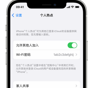 双城apple服务站点分享iPhone上个人热点丢失了怎么办 