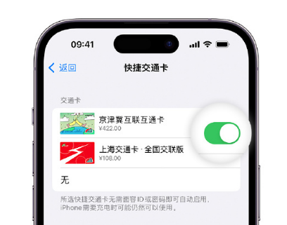 双城apple维修点分享iPhone上更换Apple Pay快捷交通卡手绘卡面 