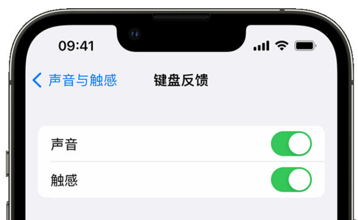 双城苹果手机维修分享iPhone 14触感键盘使用方法 