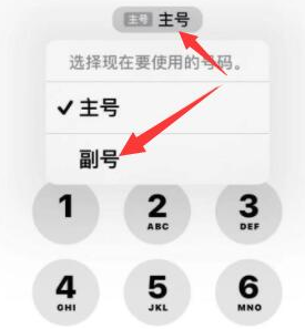 双城苹果14维修店分享iPhone 14 Pro Max使用副卡打电话的方法 