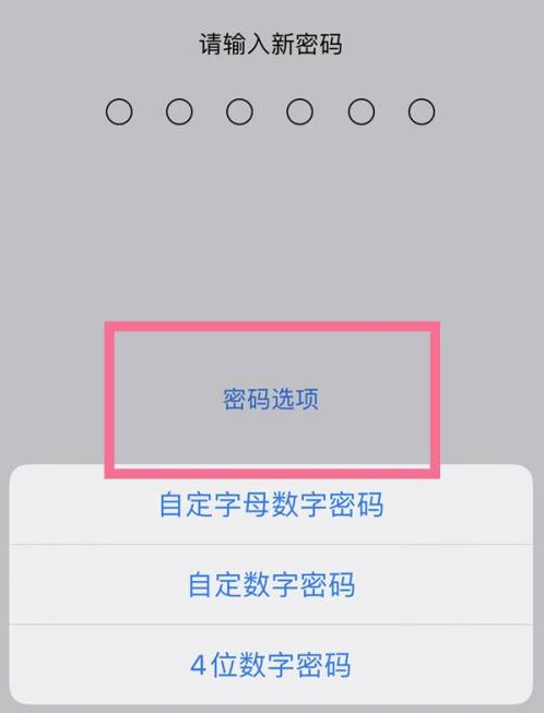 双城苹果14维修分享iPhone 14plus设置密码的方法 