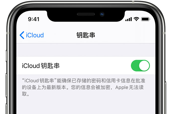 双城苹果手机维修分享在 iPhone 上开启 iCloud 钥匙串之后会储存哪些信息 