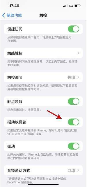 双城苹果手机维修分享iPhone手机如何设置摇一摇删除文字 