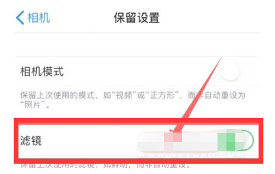 双城苹果13维修分享iPhone13拍照有绿点是怎么回事 