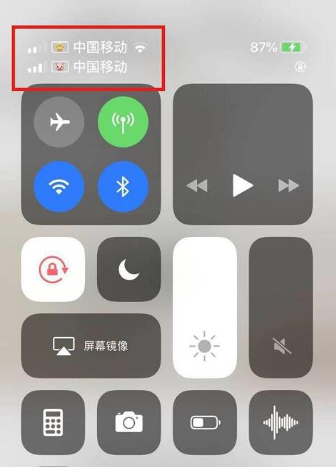 双城苹果手机维修分享为 iPhone 12 双卡设置标签 