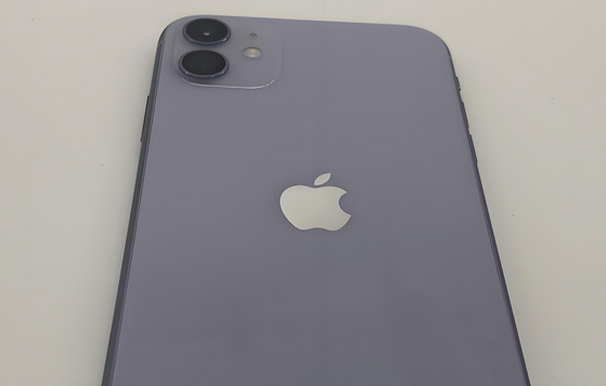 双城苹果11系统维修分享iPhone11手机系统崩溃无法开机如何解决 